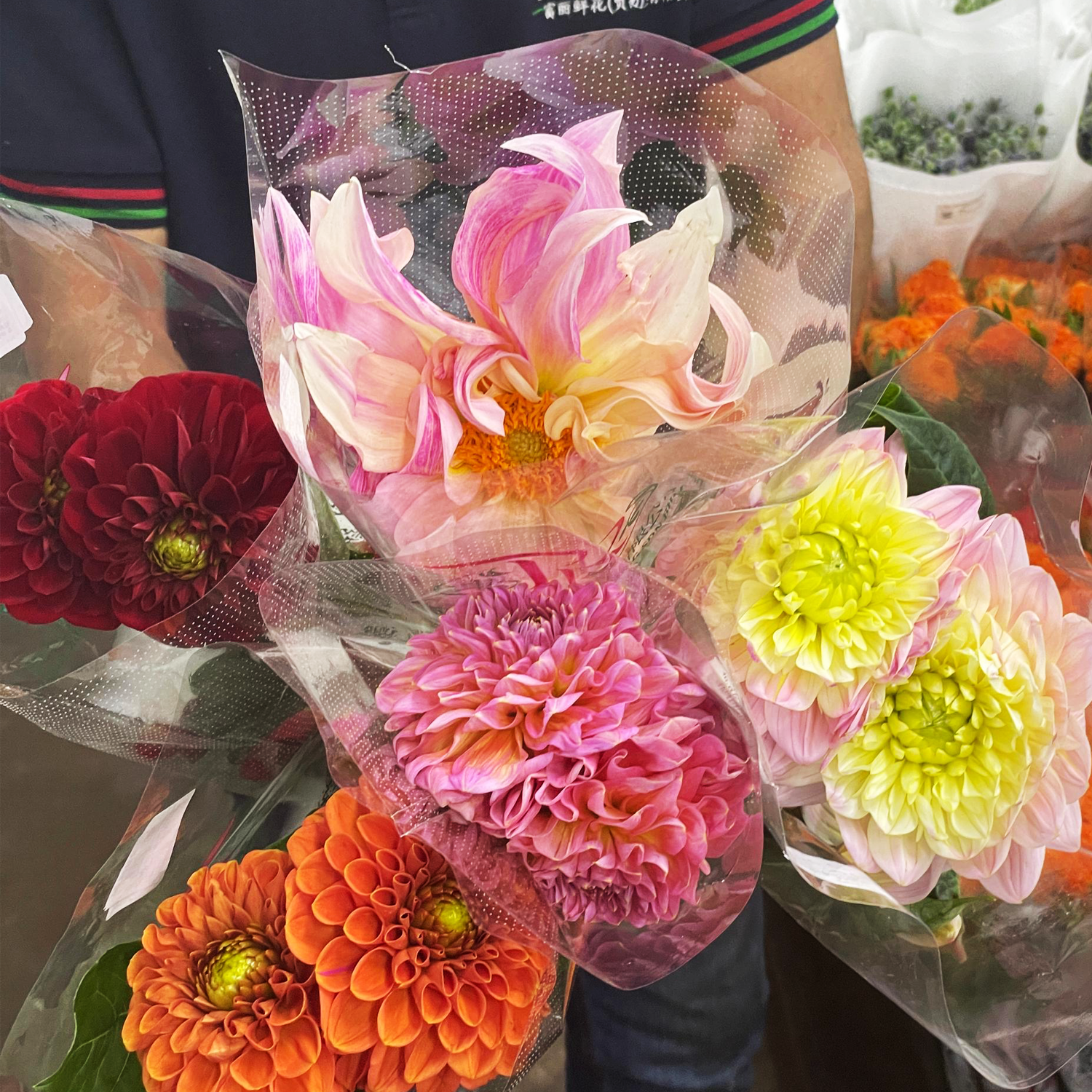 Fresh Cut Flowers