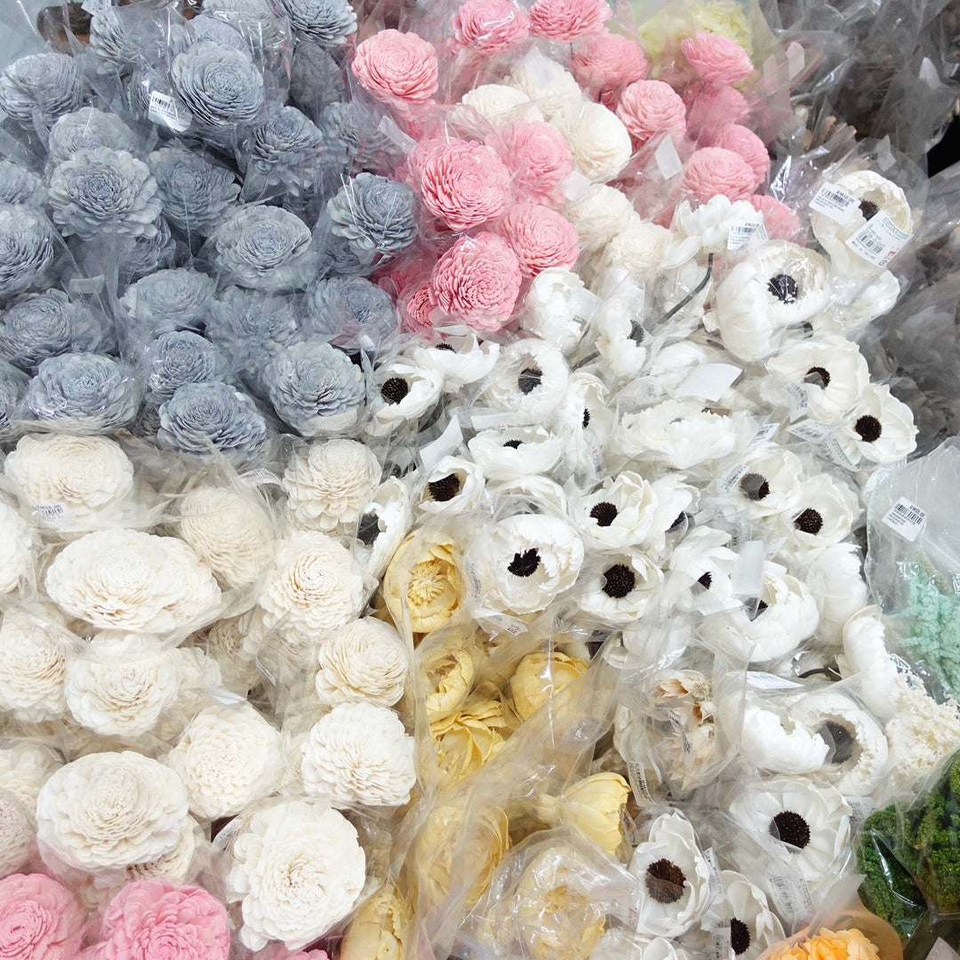 Preserved Flowers
