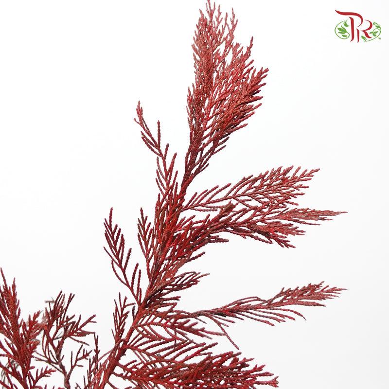 Cedar Leaf Dyed -