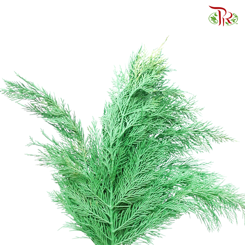 Cedar Leaf Dyed -