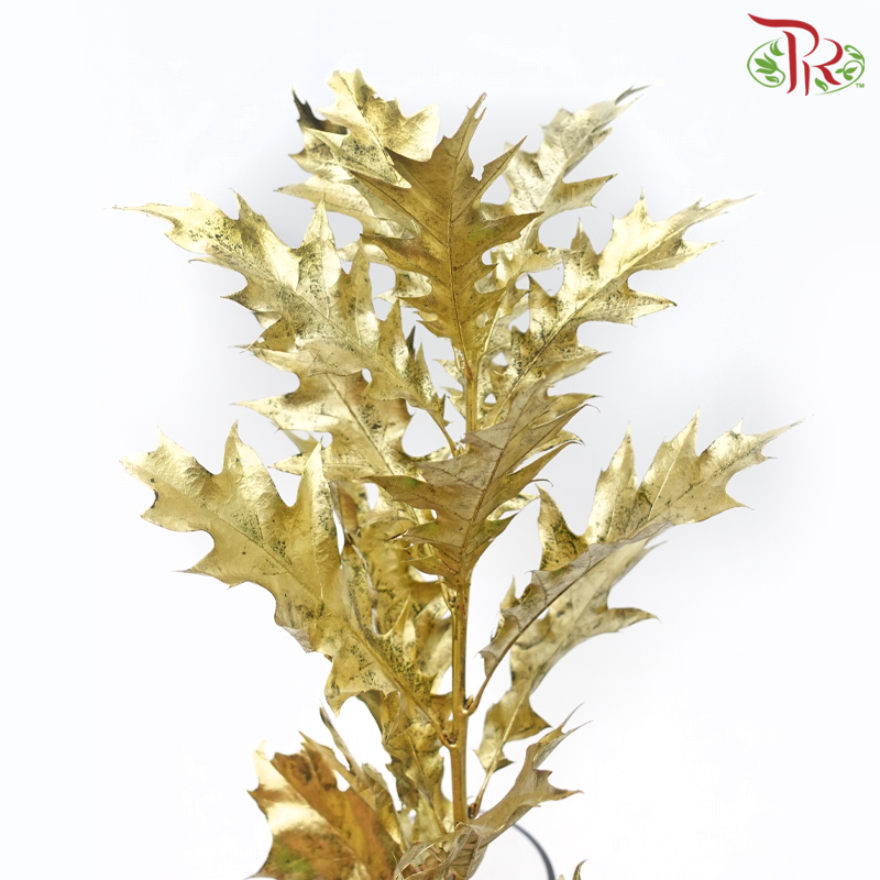 Oak Leaf Dyed -