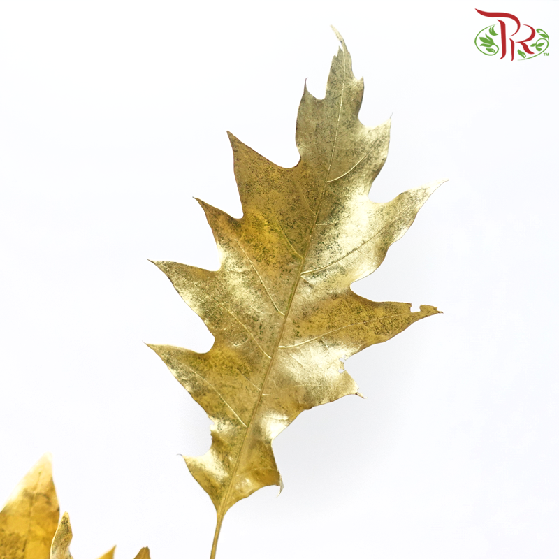 Oak Leaf Dyed - Gold 5 stems