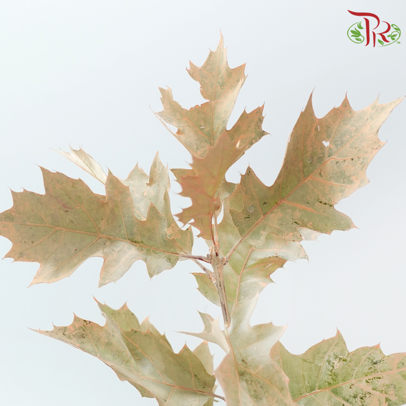 Oak Leaf Dyed - Light Orange 5 stems