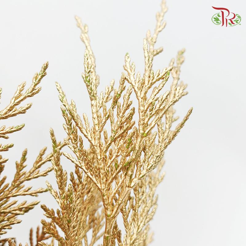 Cedar Leaf Dyed - Gold 5 stems