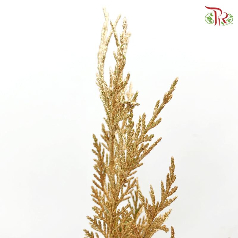 Cedar Leaf Dyed -