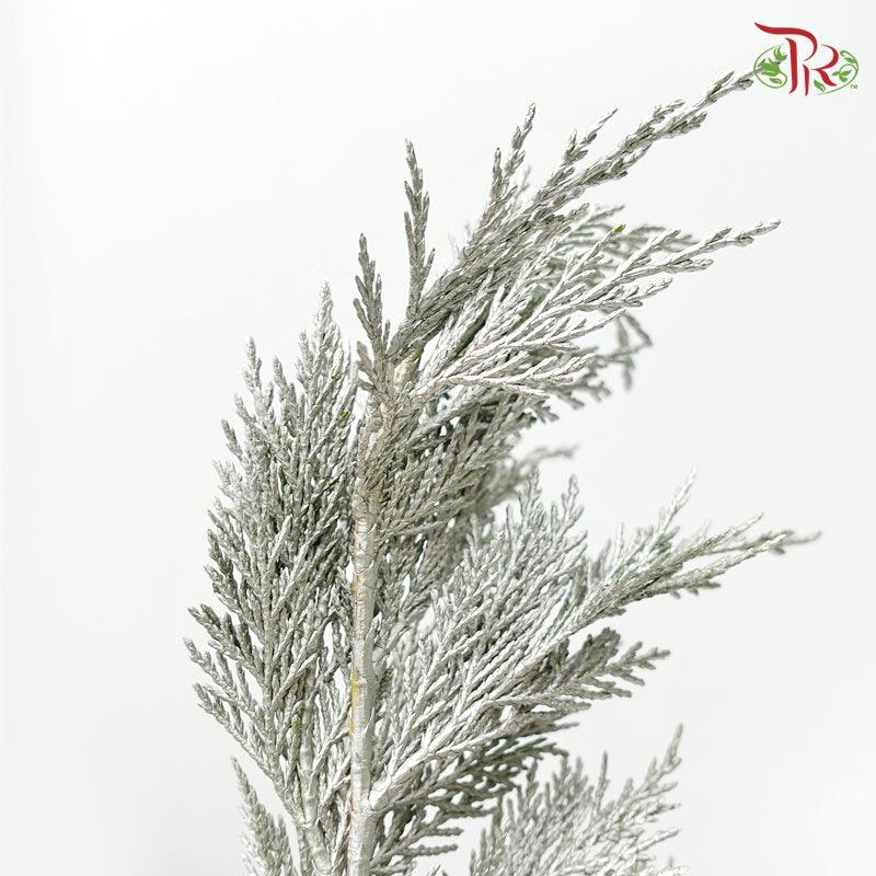 Cedar Leaf Dyed - Silver 5 stems