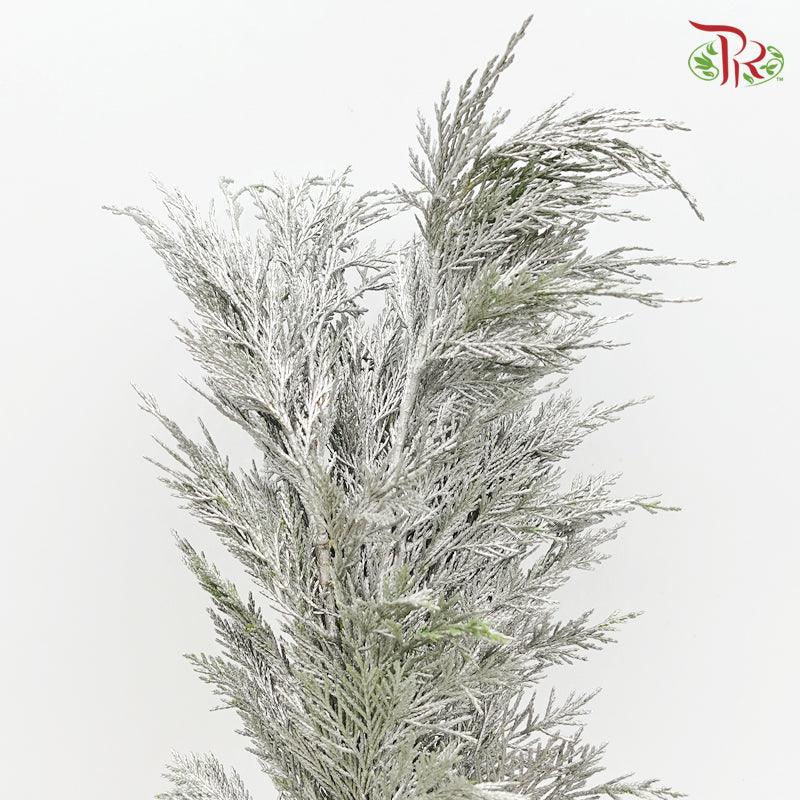 Cedar Leaf Dyed -