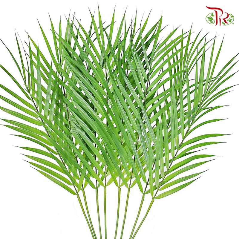 HW Palm Leaf -
