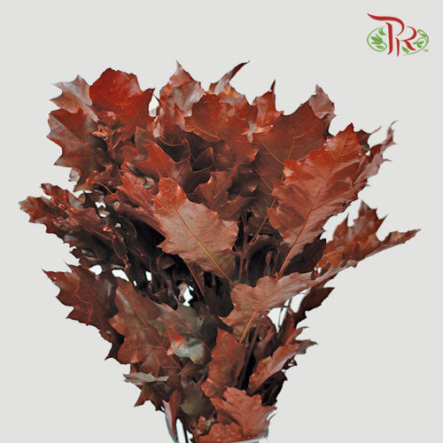 Oak Leaf Dyed - Brown 5 stems