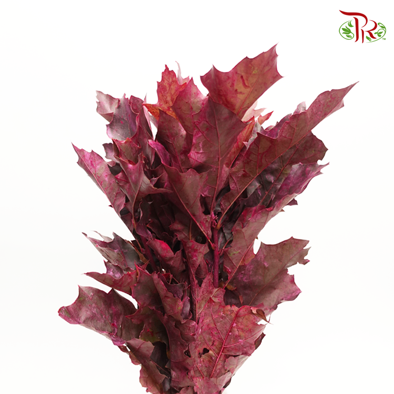 Oak Leaf Dyed - Purple 5 stems