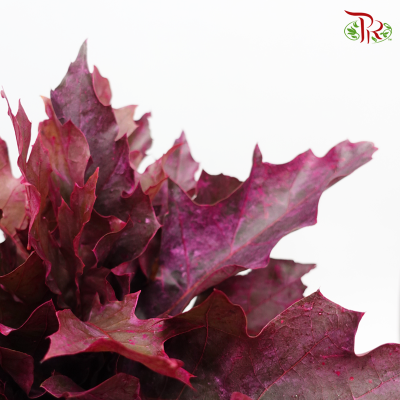 Oak Leaf Dyed -