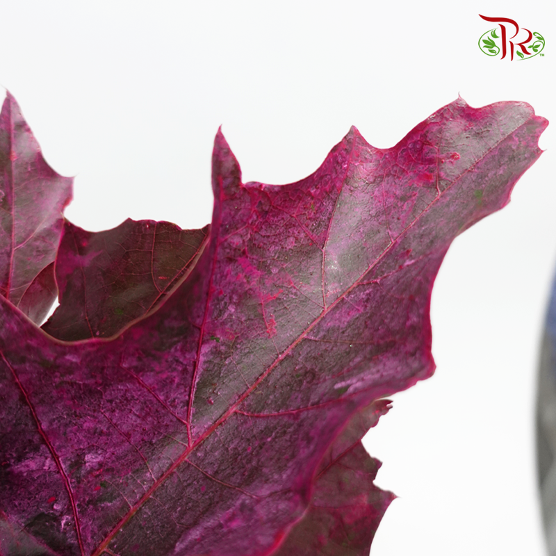 Oak Leaf Dyed -