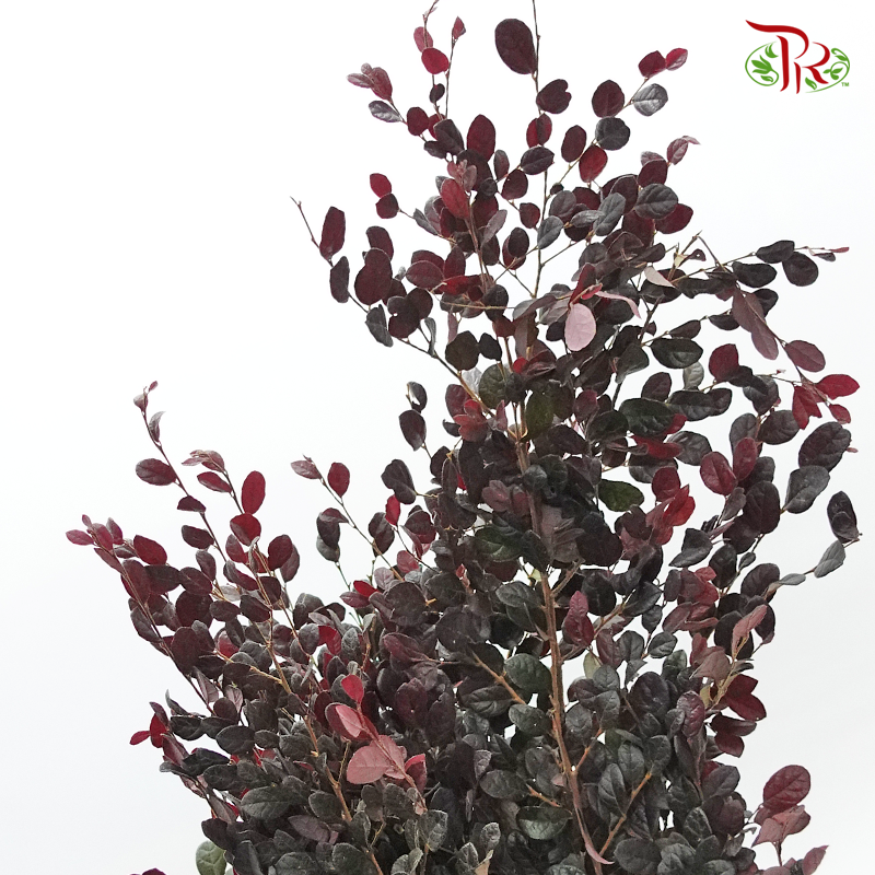 Red Technology Wood -